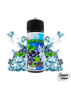 Brain Slush blueberry 100ml