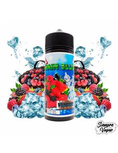 Brain Slush Wild Berries 100ml