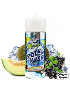 Polar Juice Honeydew & Blackcurrant Ice 100ml