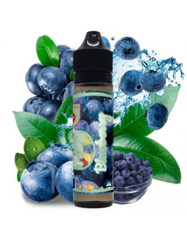 Blueberry 50ml - Fruits
