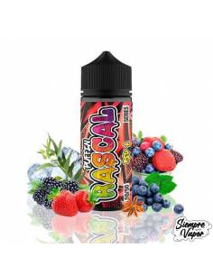 50/50 Series Red A 100ml - Puffin Rascal