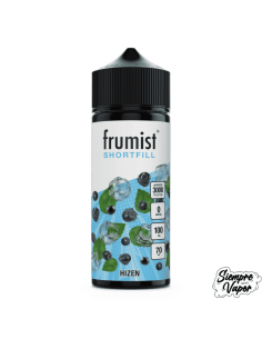 Hizen 100ml Frumist