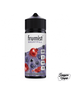 Blueberry Pomegranate 100ml Frumist